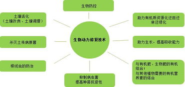 復振科技 從醫藥跨界環保的“野蠻人”，如何在環境科技領域開疆拓土？