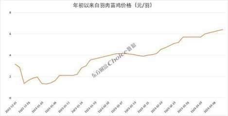 價格暴漲374%，新一輪“雞周期”來了？苗雞市場異動背后的邏輯與展望